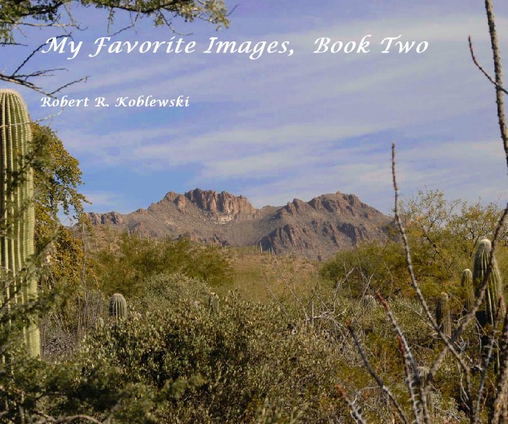 View My Favorite Images,  Book Two by Robert R. Koblewski