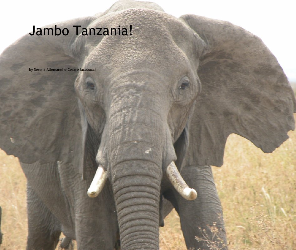 View Jambo Tanzania! by Serena Allemanni e Cesare Iacobucci