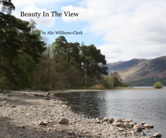 Beauty In The View book cover