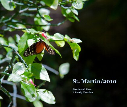 St. Martin/2010 book cover