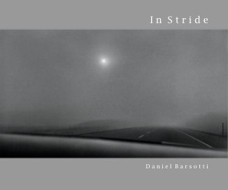 In Stride book cover