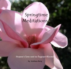 Springtime Meditations book cover