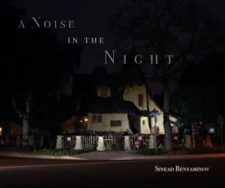 A Noise in the Night book cover