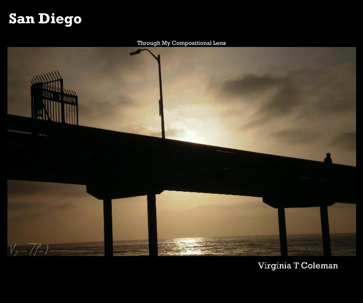 View San Diego by Virginia T Coleman
