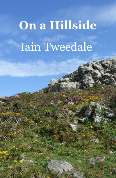 On a Hillside Iain Tweedale by Iain Tweedale | Blurb Books UK