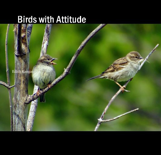 View Birds with Attitude by Edith Kangas