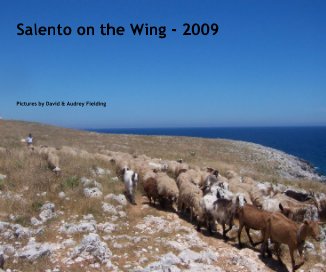 Salento on the Wing - 2009 Pictures by David & Audrey Fielding book cover