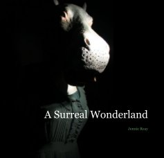 A Surreal Wonderland book cover