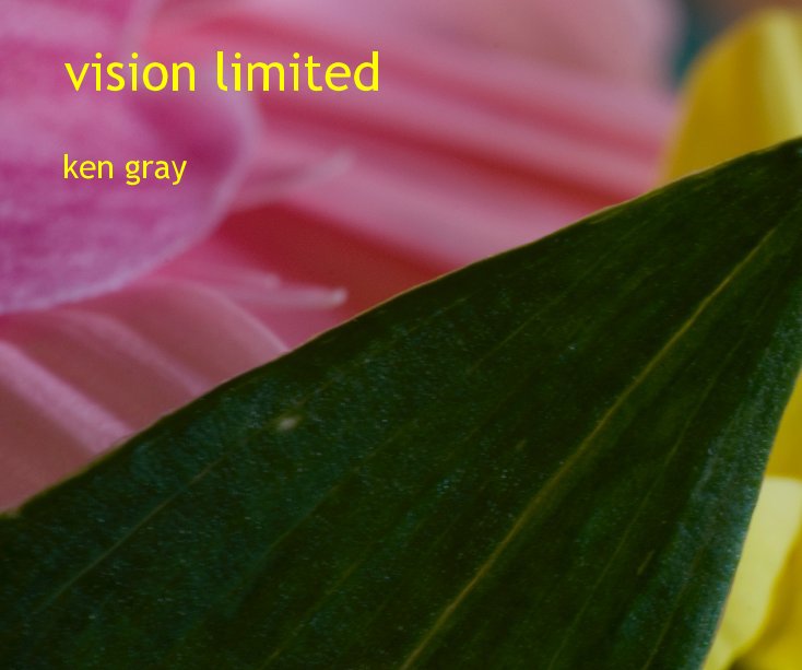 View vision limited by ken gray