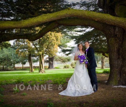 The Weddng of Adam and Joanne book cover