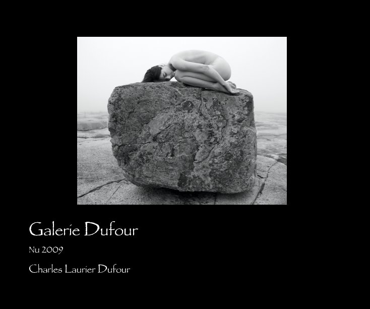 View Galerie Dufour by Charles Laurier Dufour