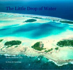 The Little Drop of Water book cover