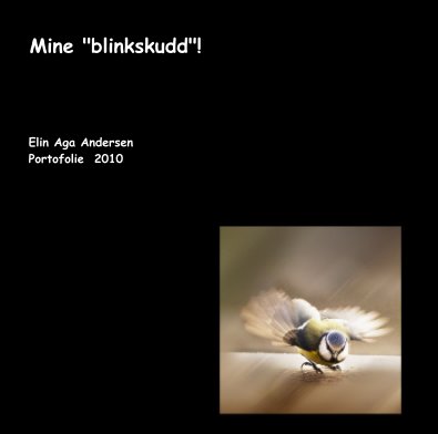 Mine "blinkskudd"! book cover