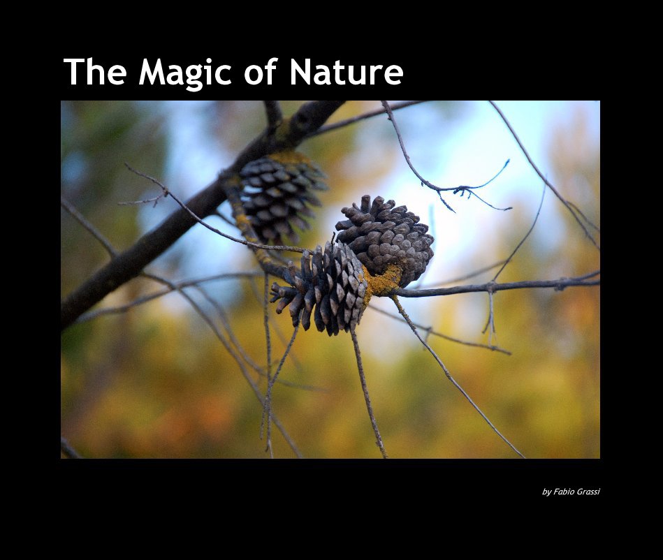 View The Magic of Nature by Fabio Grassi