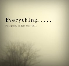 Everything..... book cover