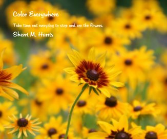 Color Everywhere book cover