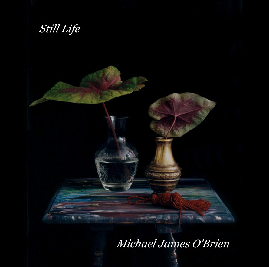 View Still Life by Michael James O'Brien