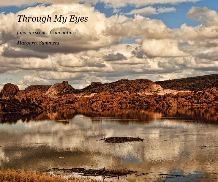 View Through My Eyes by Margaret Summers