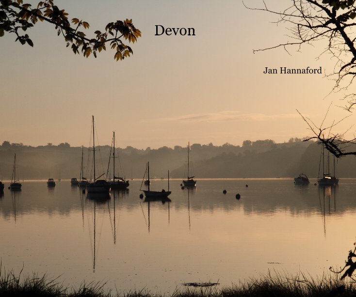 Ver Devon por Jan Hannaford