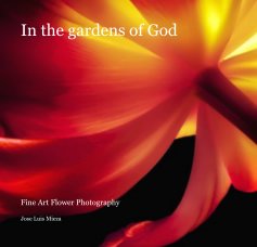 In the gardens of God book cover
