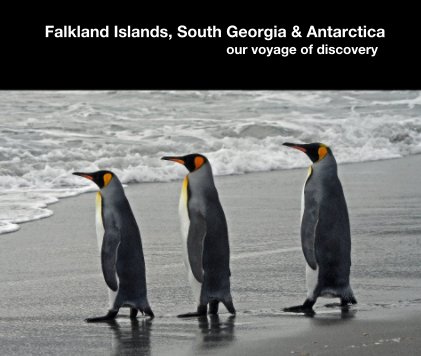 Falkland Islands, South Georgia & Antarctica book cover