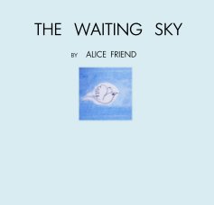 THE WAITING SKY book cover