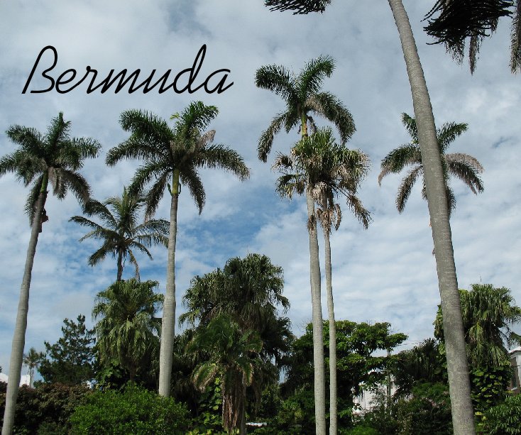 View Bermuda by Cassie Finn