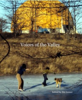 Voices of the Valley book cover