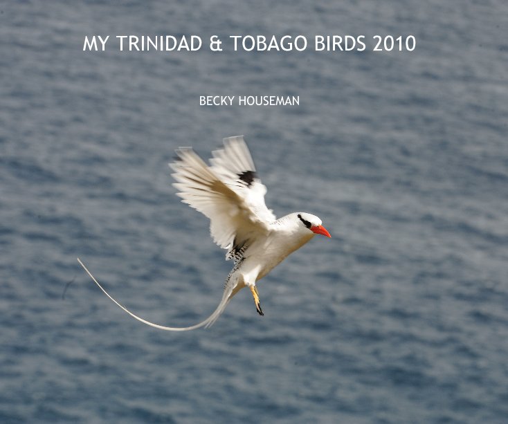 View MY TRINIDAD & TOBAGO BIRDS 2010 by BECKY HOUSEMAN