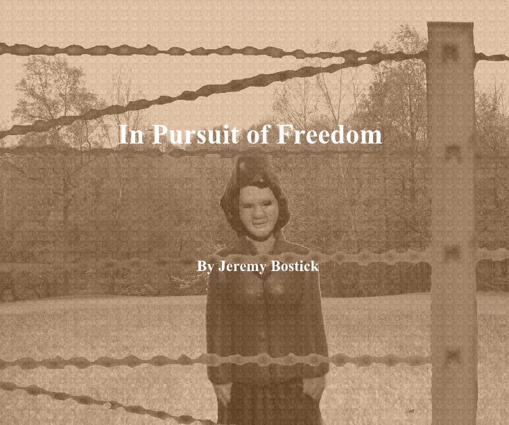 View In Pursuit of Freedom by Jeremy Bostick