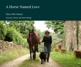 A Horse Named Love book cover
