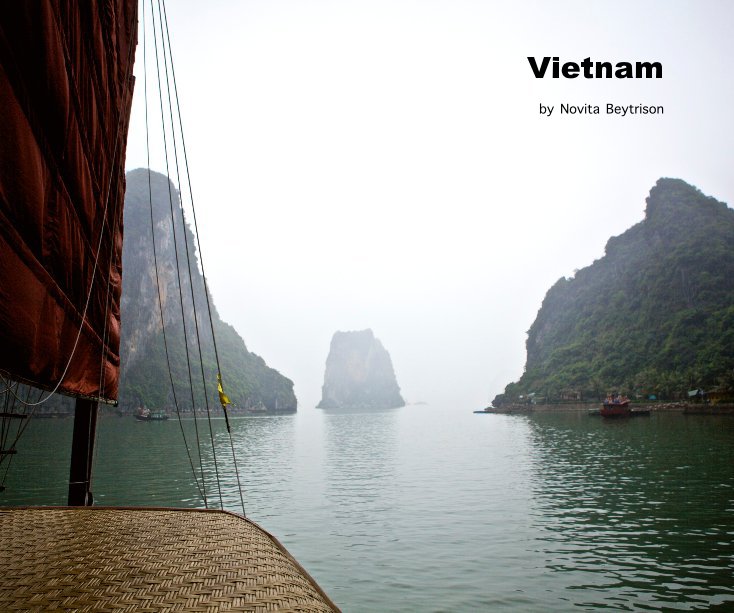 Visualizza Vietnam di Pyongbricole