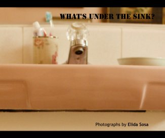 What's under the sink? book cover