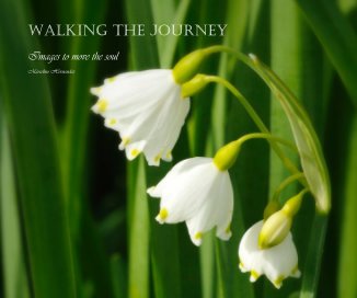 Walking the journey book cover