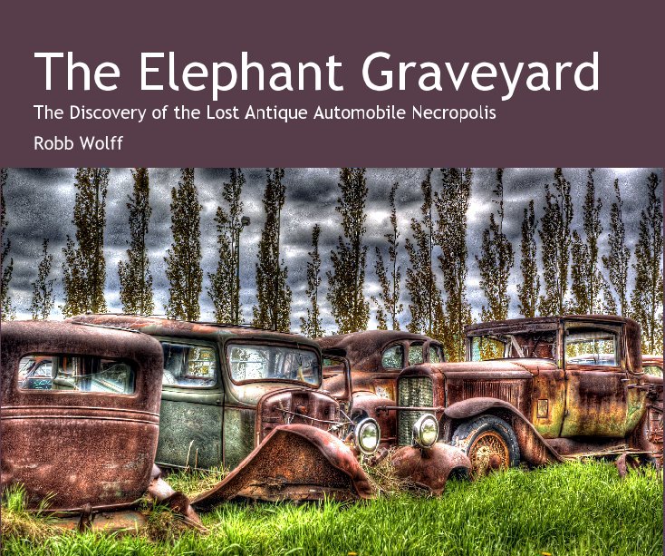 View The Elephant Graveyard 10x8 by Robb Wolff