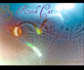 Big Rock Cat book cover