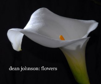dean johnson: flowers book cover