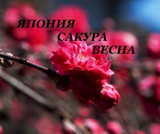 ЯПОНИЯ САКУРА ВЕСНА book cover