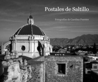 Postales de Saltillo book cover