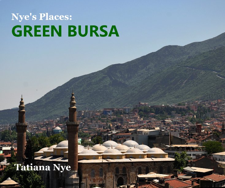 Ver Nye's Places: GREEN BURSA por Tatiana Nye