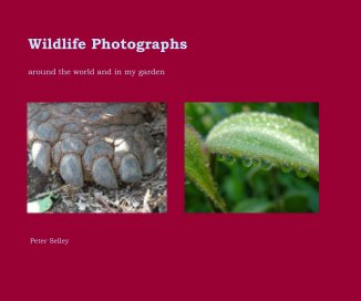 Wildlife Photographs. book cover