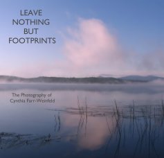 LEAVE NOTHING BUT FOOTPRINTS book cover