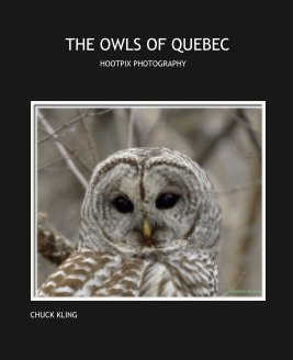 THE OWLS OF QUEBEC book cover