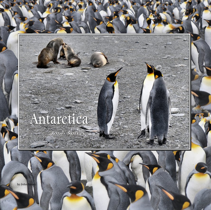 View Antarctica by John Spivey