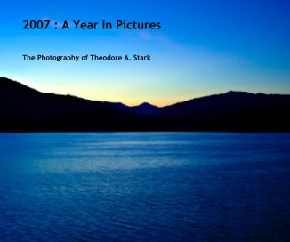 2007 : A Year In Pictures book cover
