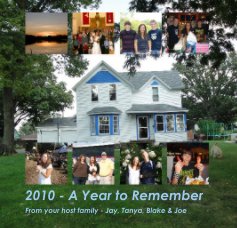 2010 - A Year to Remember book cover