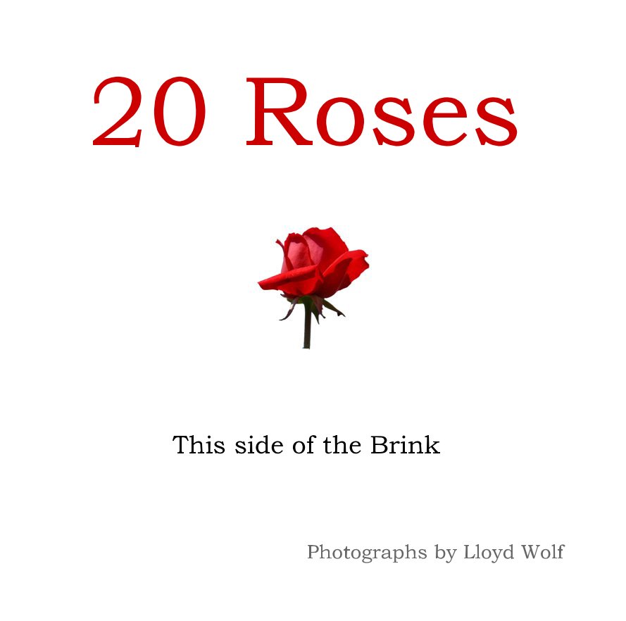 Ver 20 Roses por Photographs by Lloyd Wolf
