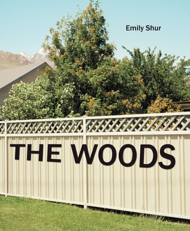 View The Woods by Emily Shur