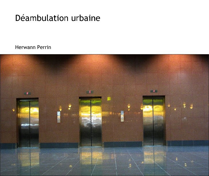 View Déambulation urbaine by Herwann PERRIN