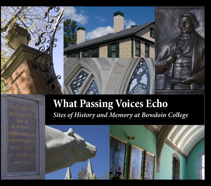 What Passing Voices Echo (Hardcover) nach Linda J. Docherty / Art History 362 anzeigen